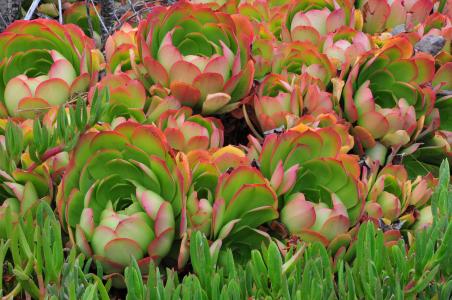 3124ʱ͡ͼ۸ÿϵ90Ԫ85Ԫ